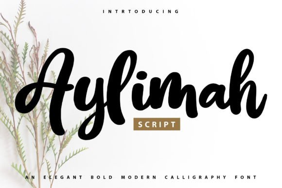 Aylimah: A Digital Designer's Guide to a Gorgeous Calligraphy Font