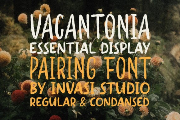 Finding a Voice for My Newsletter with Vacantonia