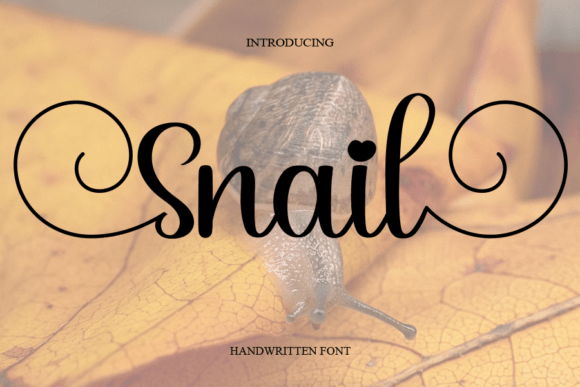 Snail: The Simple Handwritten Font Your Campaigns Need