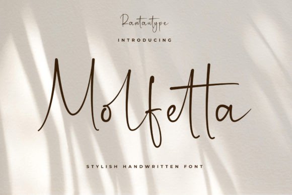 Why Molfetta Font Is My Go-To for Polished Business Branding